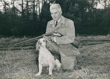 The English Cocker In The Field